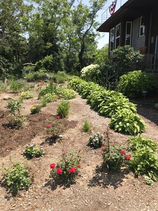 Brewster Cape Cod vacation rental - More horticulture to enjoy.