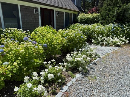 Wellfleet Cape Cod vacation rental - 