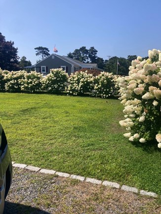 West Dennis Cape Cod vacation rental - Large Side yard fenced in. Generous space for outdoor activities.