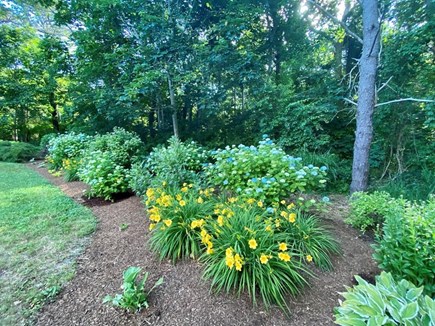 East Orleans Cape Cod vacation rental - Beautiful gardens