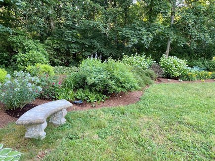 East Orleans Cape Cod vacation rental - Peaceful outdoor space