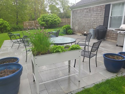 Chatham Cape Cod vacation rental - Patio with herb garden