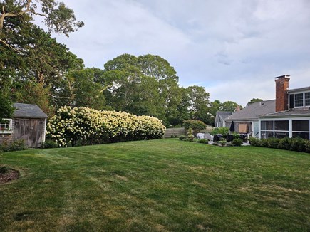 Chatham Cape Cod vacation rental - Spacious backyard