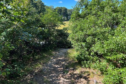 West Dennis Cape Cod vacation rental - Path to the water and Kayaks