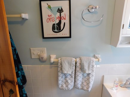 Wellfleet Cape Cod vacation rental - 