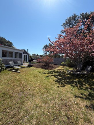Eastham, Sand Dollar Cape Cod vacation rental - Soak up every minute of summer sunshine in the spacious backyard