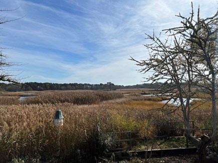 West Harwich Cape Cod vacation rental - View from deck