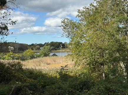 Yarmouth Port Cape Cod vacation rental - 