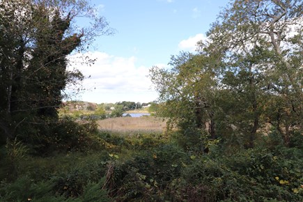 Yarmouth Port Cape Cod vacation rental - 