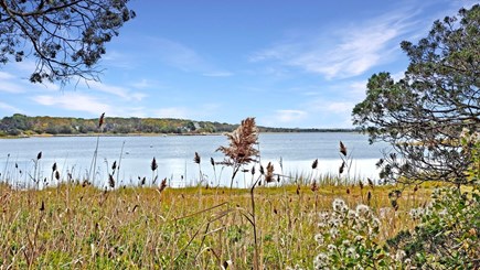 North Falmouth Cape Cod vacation rental - View from Rear Deck