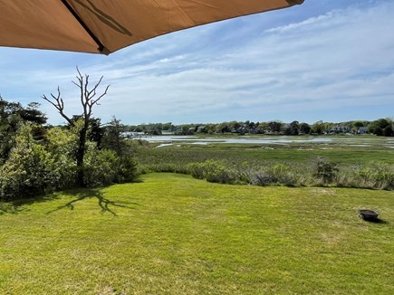 West Dennis Cape Cod vacation rental - View of the backyard