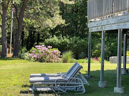 West Dennis Cape Cod vacation rental - Lounge seat in the backyard
