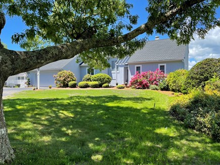 West Dennis Cape Cod vacation rental - View of the front lawn during the summer