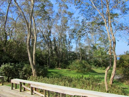 Wellfleet Cape Cod vacation rental - Grassy yard