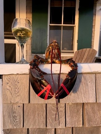 Truro Cape Cod vacation rental - Wine from Truro vineyards and lobster from Cape Tip