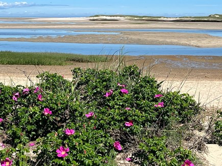 Yarmouth Port Cape Cod vacation rental - Bass Hole Beach less than a mile from the property