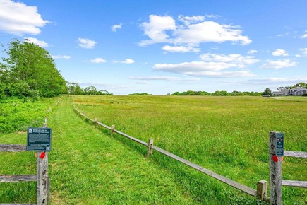 Barnstable Cape Cod vacation rental - Conservation land