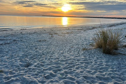 Centerville Cape Cod vacation rental - 