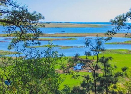 Wellfleet, Marshside Escape Cape Cod vacation rental - Sweeping marsh and tidal water views from the property