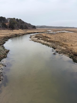 Orleans Cape Cod vacation rental - Enjoy beautiful marsh vistas.