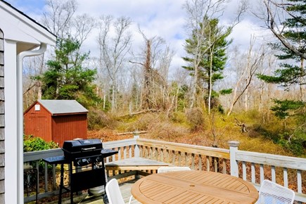 West Falmouth Cape Cod vacation rental - Porch with view of surrounding conservation land, grill & seating