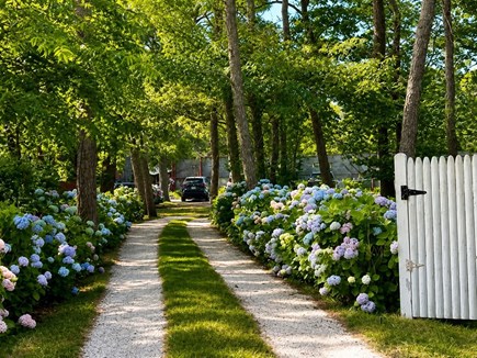 Harwich Cape Cod vacation rental - Hydrangea-lined shell lane leads to the tennis courts