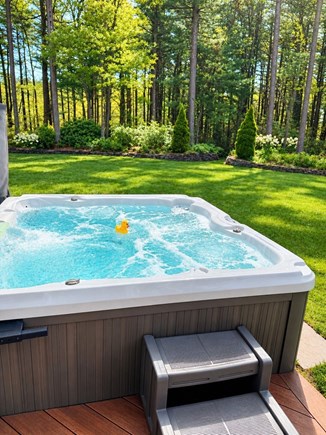 Sagamore Beach, Sagamore Cape Cod vacation rental - Hot tub