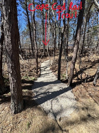 Eastham Cape Cod vacation rental - Access to Cape Cod Rail Trail behind our house private path
