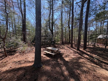 Sandwich Cape Cod vacation rental - Eat your snacks or have a coffee among the pines.