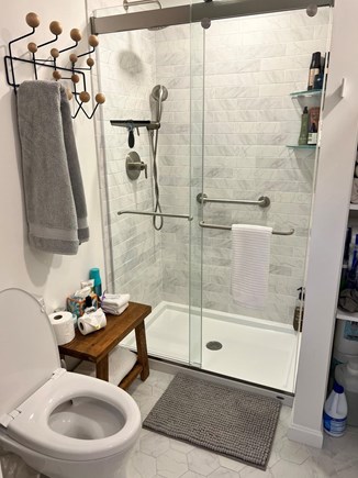 Wellfleet Cape Cod vacation rental - Walk-in shower with hand spray and salon supplies