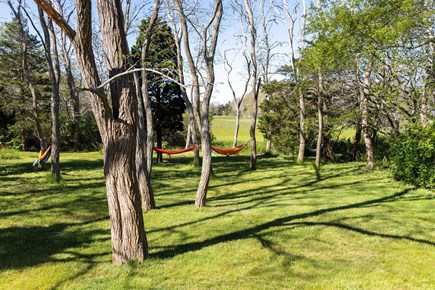 Eastham Cape Cod vacation rental - Back yard. Several hammocks. Backs up to town marsh. Private.
