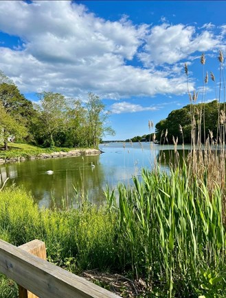 Falmouth Cape Cod vacation rental - Neighborhood