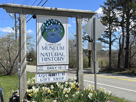 Brewster Cape Cod vacation rental - Nearby museum with trails and more or ice cream and seafood!