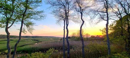 Orleans Cape Cod vacation rental - View of marsh from deck