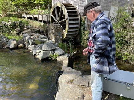 Brewster Cape Cod vacation rental - Brewster Herring Run