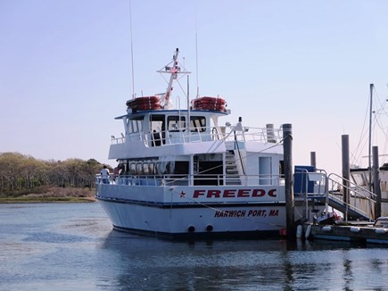 East Harwich Cape Cod vacation rental - Hop aboard the Freedom Ferry at Saquatucket Harbor and explore Nantucket!