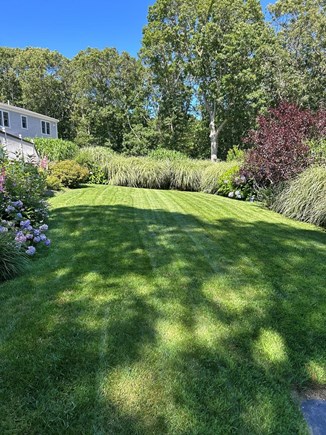Centerville, Craigville Beach Cape Cod vacation rental - Fun yard on river