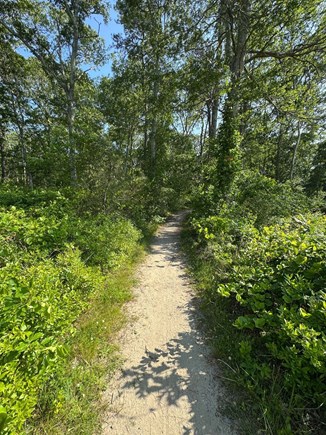Brewster Cape Cod vacation rental - 