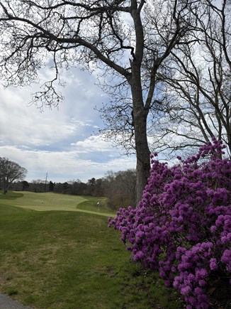 Brewster Cape Cod vacation rental - View of greens
