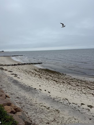Harwich Port Cape Cod vacation rental - 