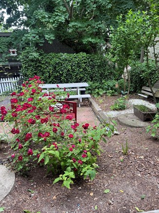 Provincetown  Cape Cod vacation rental - Garden outside the unit door. Also has firepit. :)