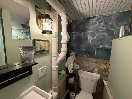 Provincetown  Cape Cod vacation rental - Bathroom is very. boat-like. Snug and cute.
