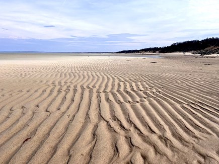 Brewster Cape Cod vacation rental - Walk to Ellis Landing and the amazing Brewster Flats
