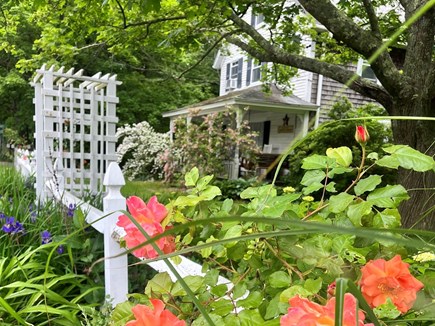 Brewster Cape Cod vacation rental - Sweet country cottage feel