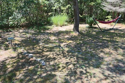 Truro Cape Cod vacation rental - Trails Leading to Dune Cliffs from Backyard