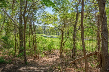 New Seabury, Mashpee Cape Cod vacation rental - Through the greenery in the backyard, there is a view of the nearby golf course, offering a scenic and peaceful backdrop to the outdoor space.