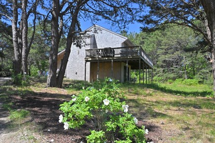 Eastham Cape Cod vacation rental - Beach Roses and the House