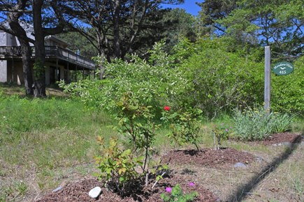 Eastham Cape Cod vacation rental - Welcome to Meadow View House