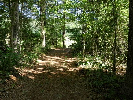 Centerville Cape Cod vacation rental - 