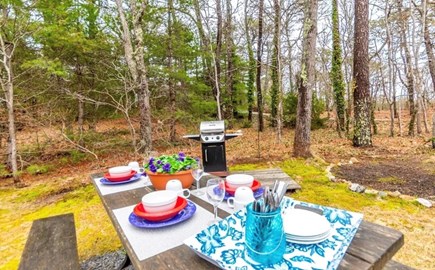 Orleans Cape Cod vacation rental - Outside dining with grill available